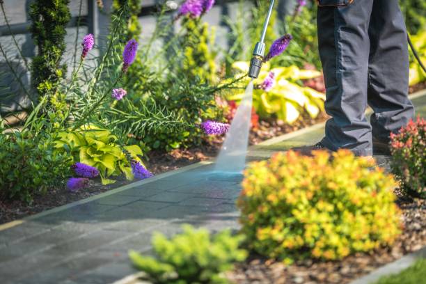 Best Driveway Pressure Washing  in Colonial Pine Hills, SD